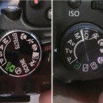 Optimal Camera Settings For Wildlife Photography